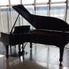 Steinway &amp; Sons